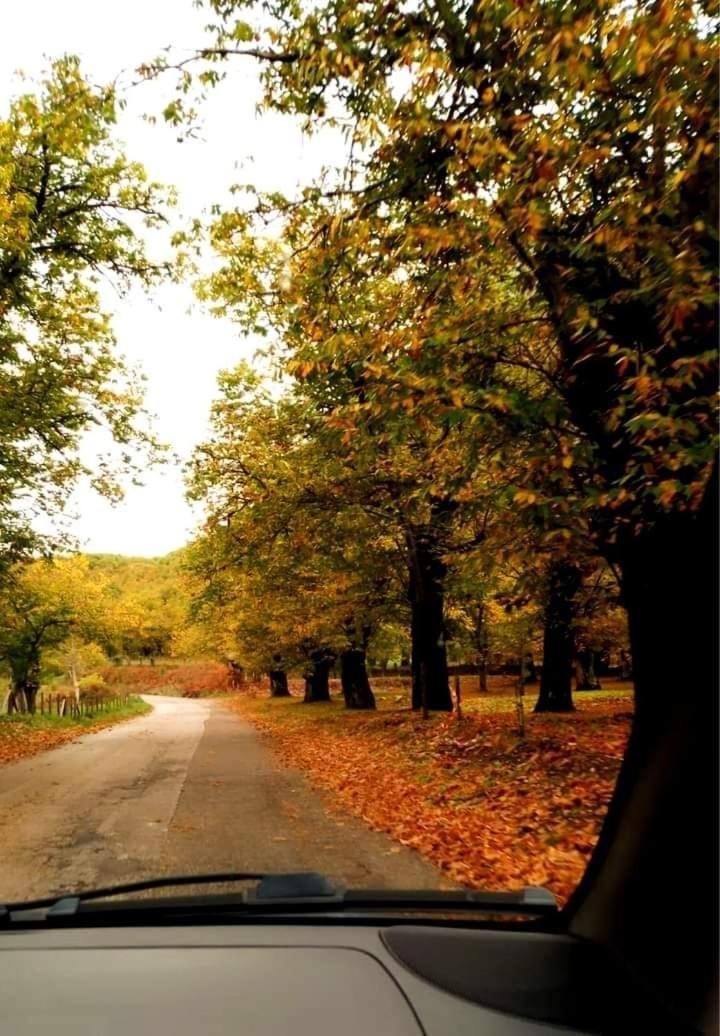 Sapori E Sapere Di Troisi Margherita Sicignano degli Alburni Экстерьер фото