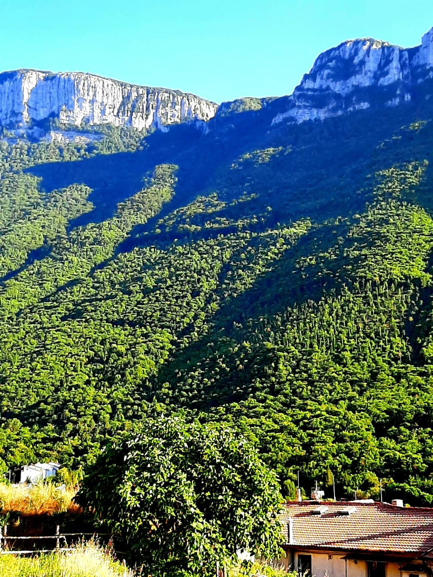 Sapori E Sapere Di Troisi Margherita Sicignano degli Alburni Экстерьер фото